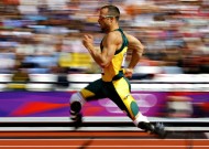 全面解析：平台更新